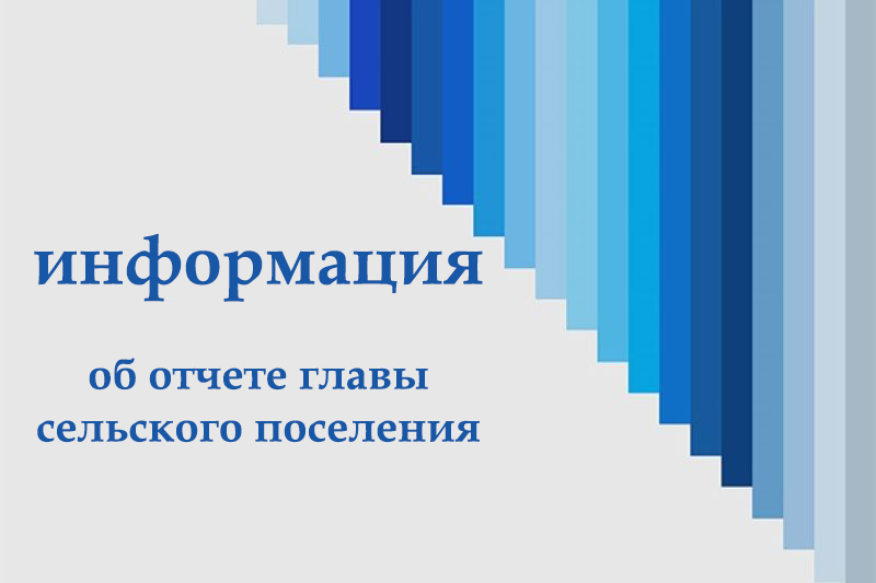 Отчет  главы.